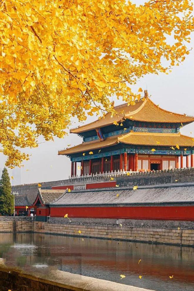 Base-beijing Sanlitun Serviced Apartment-close To Forbidden City, Tian'anmen Square &bike &subway Line 2&3&17 &free Coffee &washing Machine, Kitchen &english Speaking &high Speed Free Wifi &robot *